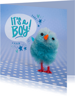 Felicitatiekaart met blauw kuiken geboorte jongen