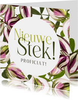 Felicitatiekaart ‘Nieuwe Stek!’ kleurrijke bladeren