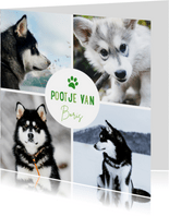 Fotokaart met 4 foto's en tekst pootje van huisdier
