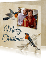 Fotokaart met roodborstjes Merry Christmas