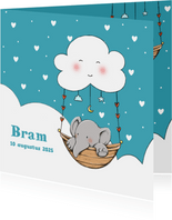 Geboorte olifantje wolk Bram IH