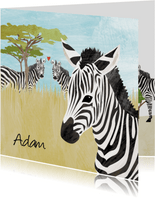 Geboortekaartje zebra Afrika