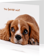 Grußkarte 'Du fehlst mir' mit Hund