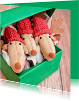 Kerstkaart met drie rendieren in een groen doosje