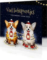 Lichtpuntjes kerstkaart met 2 corgi hondjes en kerstlampjes