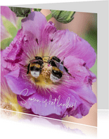 Liefdekaart met twee hommels samen in een bloem