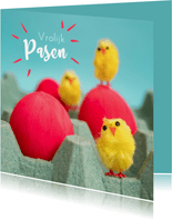 Paaskaart met drie kuikens en drie rode eieren