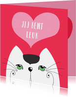Valentijnskaart - Kat - jij bent leuk - SK