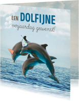 Verjaardagskaart dolfijn