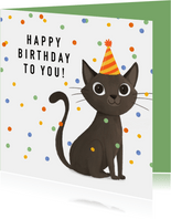 Verjaardagskaart kat confetti happy birthday feestje