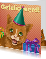 Verjaardagskaart katje met feesthoedje