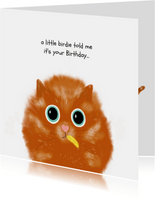 Verjaardagskaart met rode kat en veertje in zijn bek