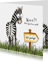Verjaardagskaart zebra met wegwijzer