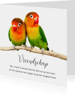 Vriendschap kaart 2 lieve vogeltjes