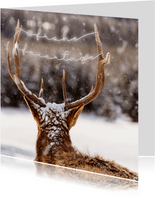 Weihnachtskarte Hirsch im Schnee