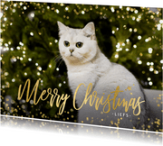 Fotokaart kerst enkel liggend grote foto confetti kader