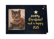 Kerstkaart met donkere achtergrond en gouden sterren