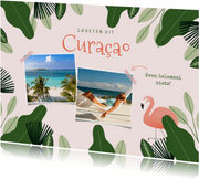 Tropische vakantiekaart Curacao jungle flamingo en foto's
