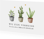 Verhuiskaart nieuw adres met plantjes en gouden hartjes