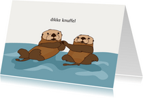 Beterschapskaart dikke knuffel otters