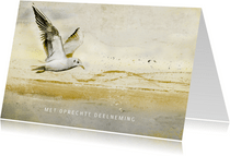 Condoleancekaart vogel strand abstract