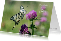 Dierenkaart met mooie gestreepte vlinder op paarse klaver