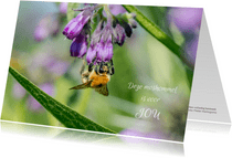 Dierenkaart met oranje moshommel op paarse bloemen