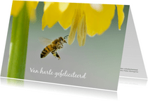 Dierenkaart met vliegende honingbij onder grote gele bloem