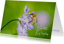 Dierenkaart met vrolijke paarse bloem en bij
