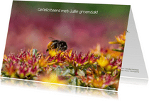 Dierenkaart mooie foto van sedum bloemen met een steenhommel