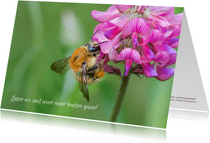 Dierenkaart vrolijke foto van oranje bij op een bloem