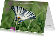 Dierenkaart vrolijke vlinder fotokaart met een koningspage