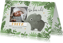Foto-Geburtskarte kleiner Elefant