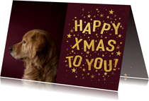 Hippe kerstkaart met gouden typografie, sterren en foto