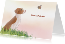 Super Huisdieren condoleance kaart - Mooie kaarten | Kaartje2go RF-93