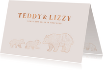 Lief geboortekaartje met illustratie van beertjes tweeling