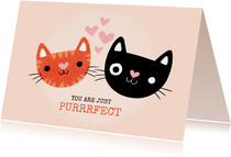 Lieve valentijnskaart met katten "You are just purrfect"