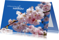 Sterkte kaart sending you lots of sunshine bloesemtak
