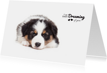 Valentijnskaart - Puppy - Dreaming of you!