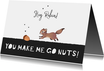Valentijnskaart you make me go nuts eekhoorn