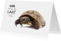 Verjaardagskaart - te laat - schildpad