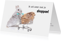 Zomaar kaart konijn en cavia in winkelwagen