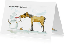 Zomaar kaarten warme wintergroet Sjors met sneeuwpop
