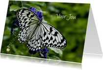 Zomaar voor jou met vlinder