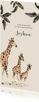 Geboortekaartje giraffen voor een tweede kindje