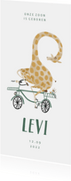 Geboortekaartje hip met giraf op de fiets illustratie