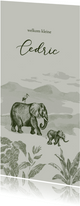 Olijfgroen jungle geboortekaartje met getekende olifanten