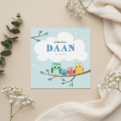 Geboortekaartje broertje uiltjes op een takje met wolkje