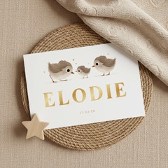 Geboortekaartje derde broertje of zusje met vogeltjes