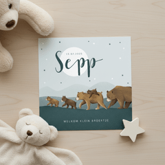 Geboortekaartje dieren beren beestenboel broertje sterren